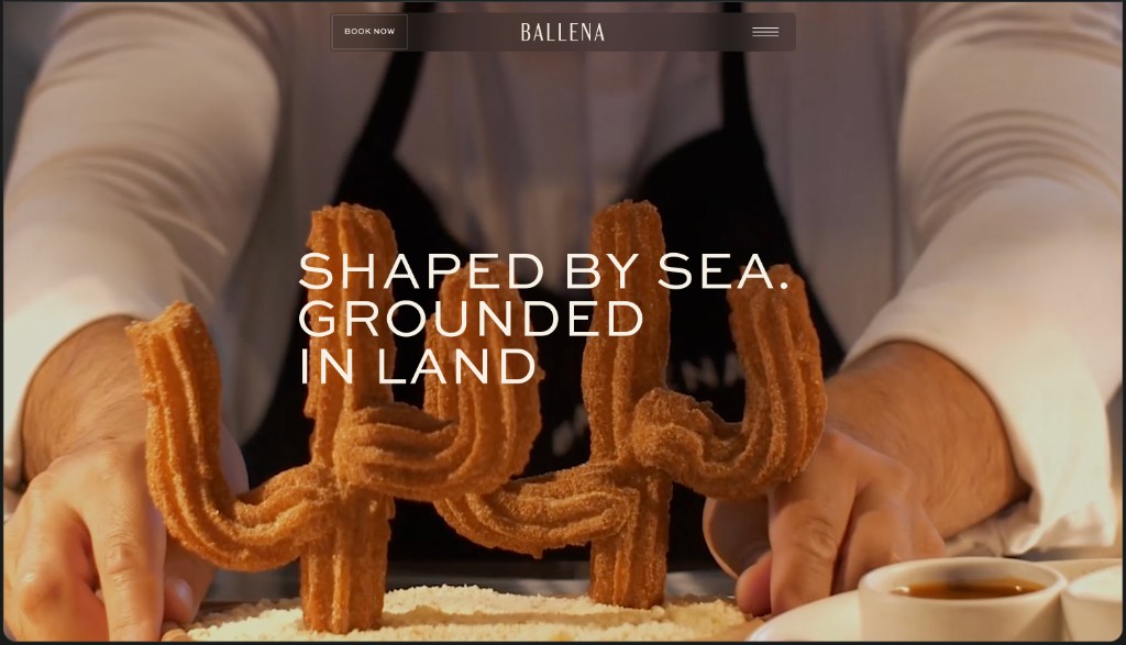 Ballena website